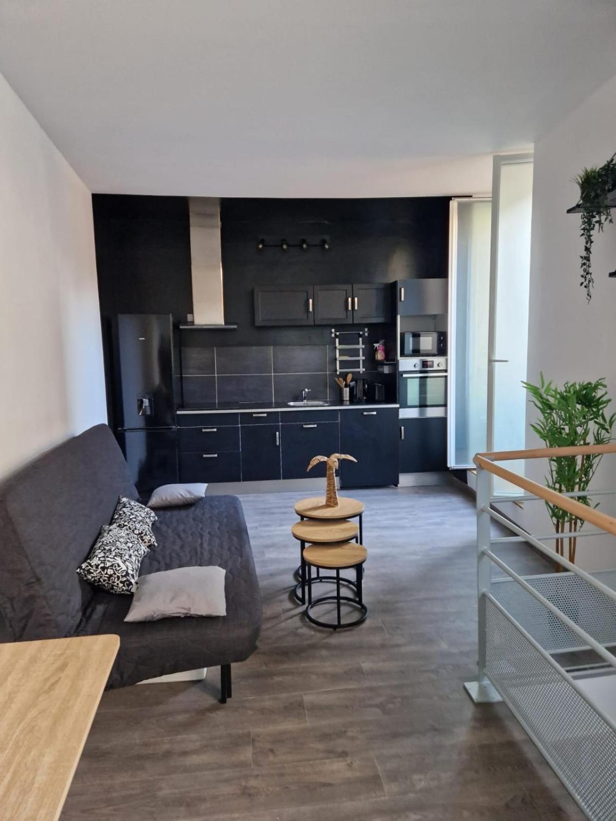 Les Appartements De Romain Et Julien Dijon Exterior foto