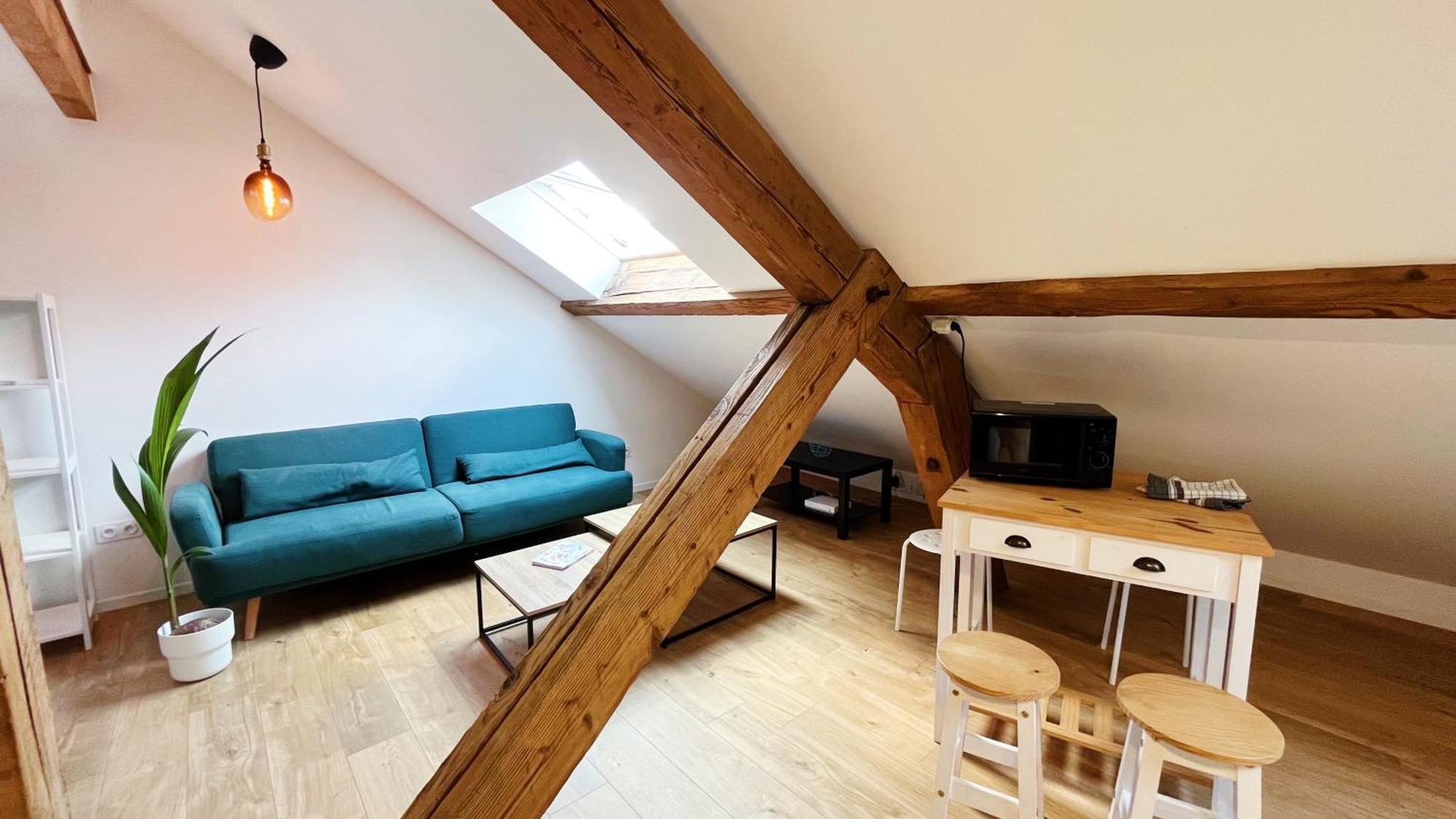 Les Appartements De Romain Et Julien Dijon Exterior foto
