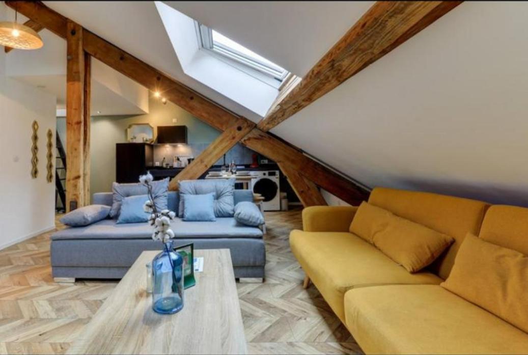 Les Appartements De Romain Et Julien Dijon Exterior foto
